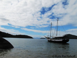 You can beat a day of sailing around Paraty for 20 bucks per person.