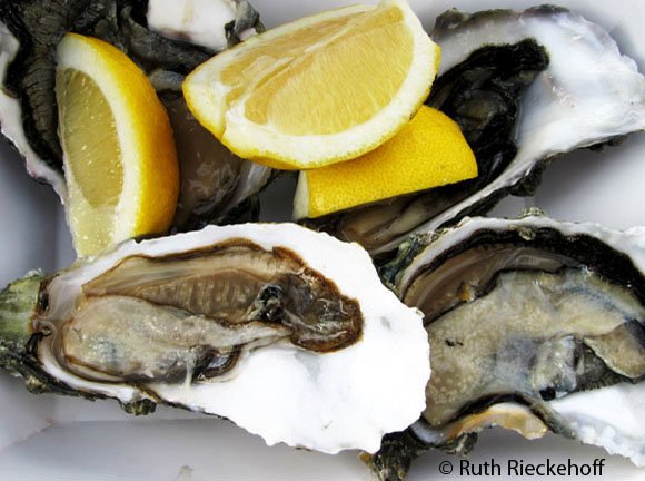 Oysters, Fisherman's Wharf, San Francisco, California