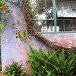 House covered with plants in Santa Barabara