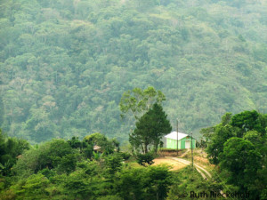 Green mountains