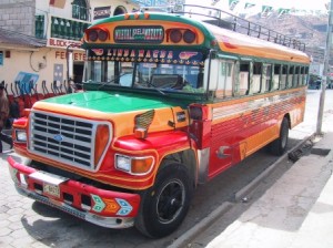 Bus