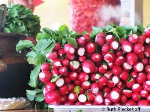 Radishes, Ensenada, Mexico