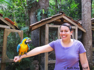 Holding a Blue and Gold Macaw