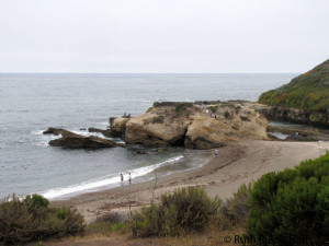 Another view of Spooner's Cove