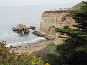 Clifs seen from the Bluff Trail