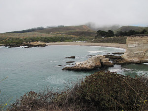 Spooner's Cove seen from the Bluff Trail
