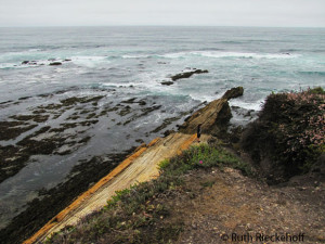 Tide pools in Coralline Cove