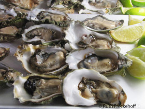 Oysters