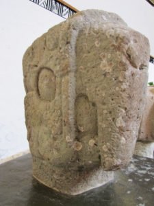Parrot Head Used in Ball Game
