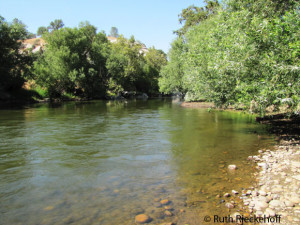 Lower Kern River, Sandy Flats, California