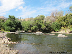 Lower Kern River, Sandy Flats California