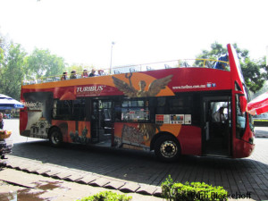Turibus