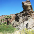 Palms and rock formation