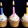 Cupcakes