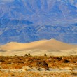 Devil's Cornfield and Mesquite Flat Sand Dunes, Death Valley National Park, California