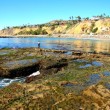 White Point Royal Palms County Beach, San Pedro, California