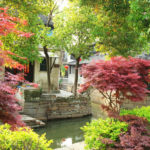 Colurful Trees in Luzhi Water Town, China