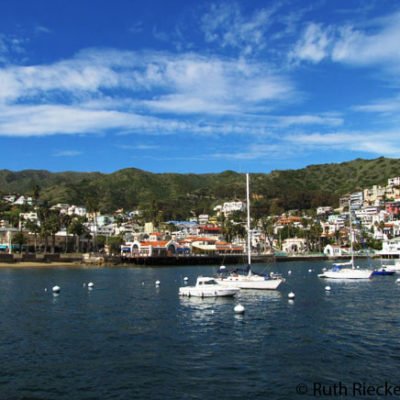 Papillon Photos: Avalon, Catalina Island