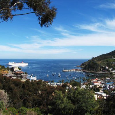 Catalina Island from the Top