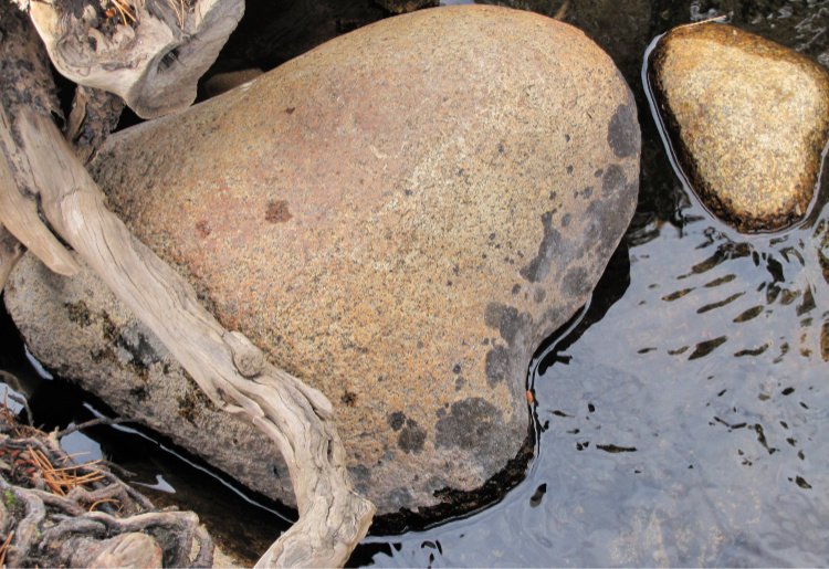 Heart-shaped rock in Rock Creek, California