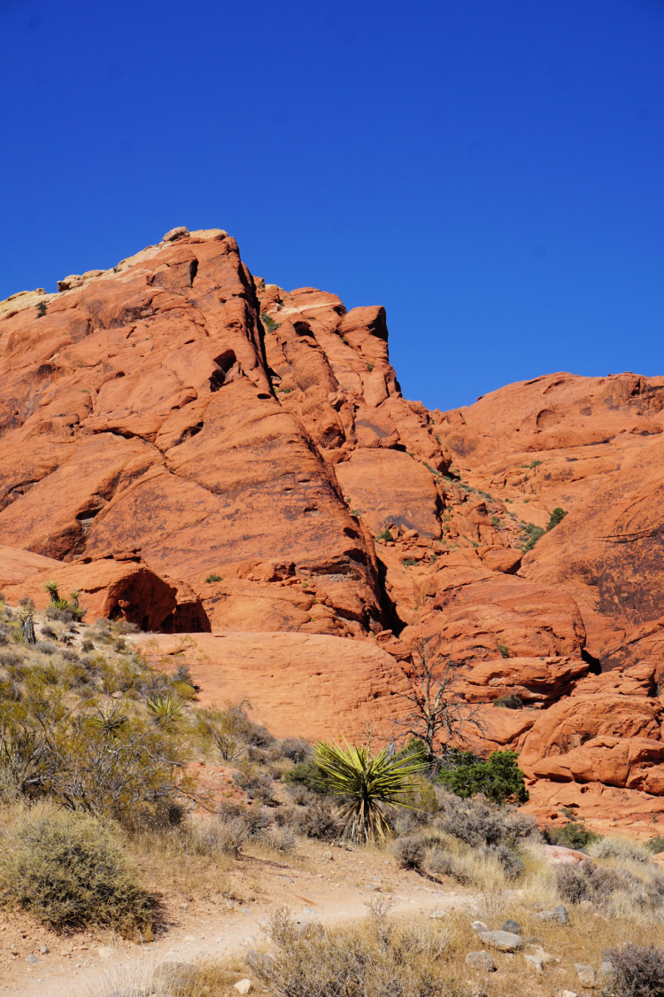 Calico Basin (Red Rocks), Red Rock Canyon National Recreational Area (Near Las Vegas), Nevada