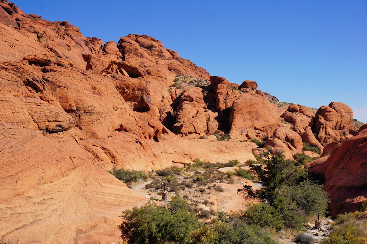 Calico Basin (Red Rocks)