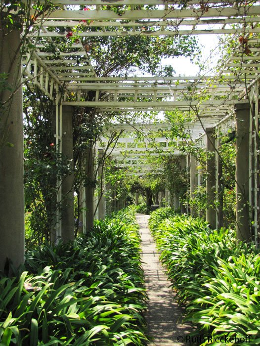 Shade in the garden, The Huntington, San Marino, California