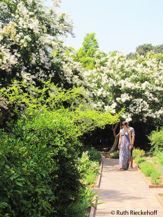 Couple walking around flowers, The Huntington, San Marino, California