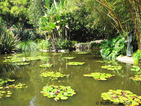 Pond, The Huntington, San Marino, California