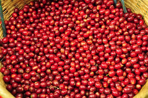 Ataco Coffee, El Tunco El Salvador