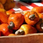 Cashew Fruit, Fruits El Salvador