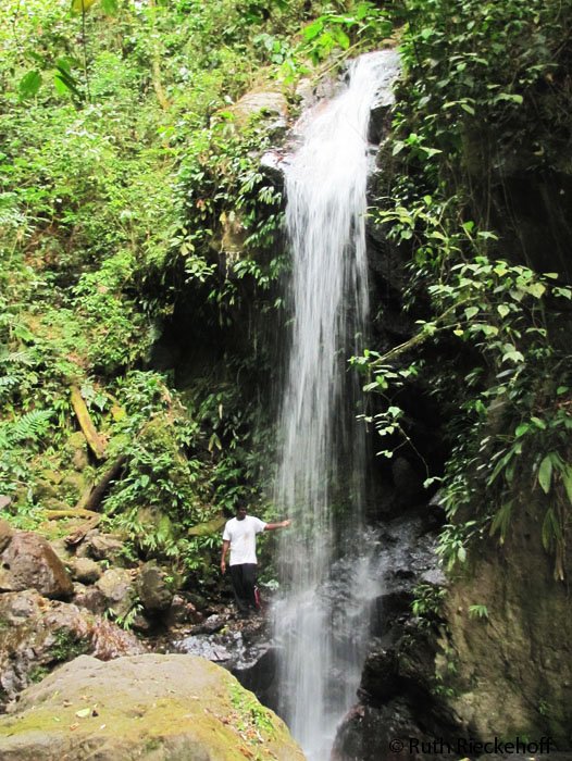 Waterfall, Parque Nacional Cerro Azul Meambar, Honduras
