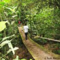 Crossing another bridge, Cerro Azul Meambar National Park, Honduras