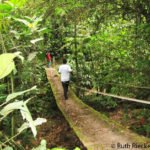 Crossing another bridge, Cerro Azul Meambar National Park, Honduras