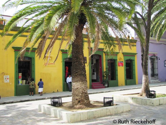 Palm trees and colorful buildings in Santo Domingo Plaza