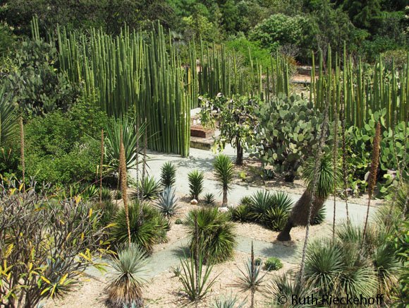 Ethno Botanical Garden, Oaxaca, Mexico