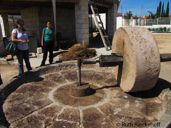 Area where the roasted piñas are crushed