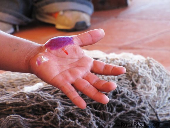 Grana cochinilla pigment mixed with baking soda gives a purple color