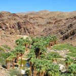 Palm Canyon Hike in Palm Springs, California