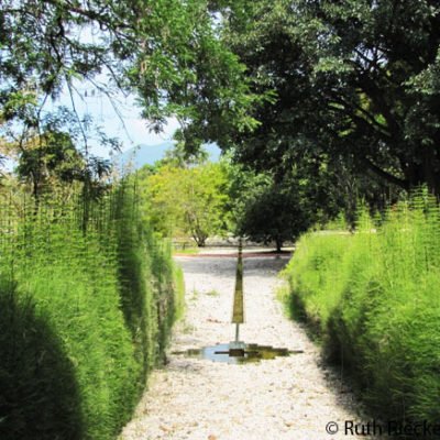 Ethnobotanical Garden in Oaxaca: Trespassing by Mistake