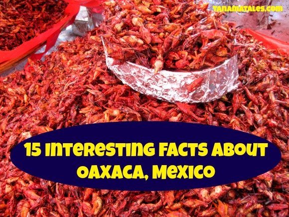 15 Interesting Facts About Oaxaca