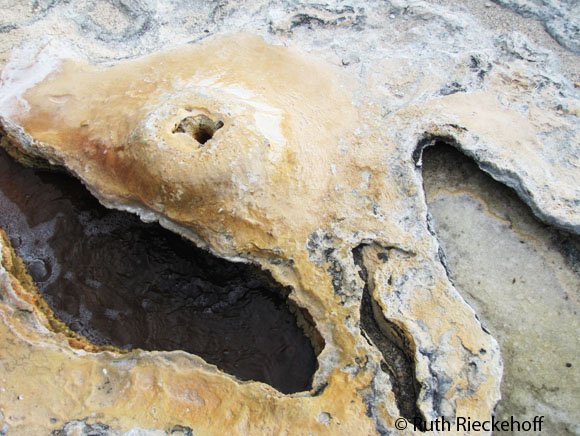 Spring coming out of the rock, Hierve el Agua, Oaxaca, Mexico