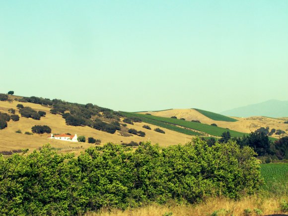 Hills in the Santa Ynez Valley, California