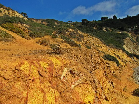 Cliffs at Bluff Cove, Palos Verdes, California