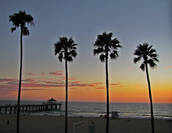 manhattan beach pier, pier in los angeles county, pier and palms at sunset, pier at sunset