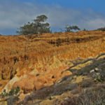Torrey Pine State Reserve, Torrey Pine Hike