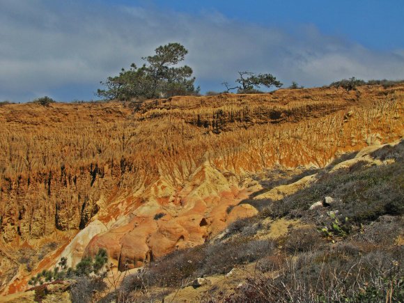 Razor Point, Torrey Pines State Reserve, San Diego, California