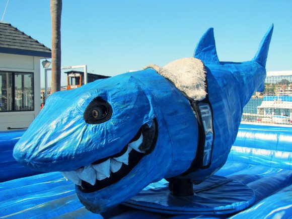 Electric Shark at Balboa Funzone, Newport Beach, California