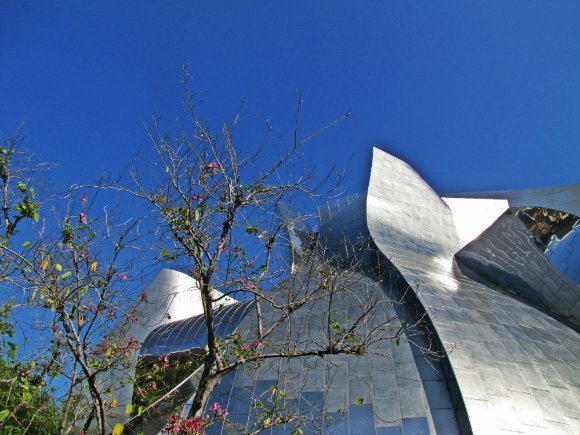 Walt Disney Concert Hall, Los Angeles, California