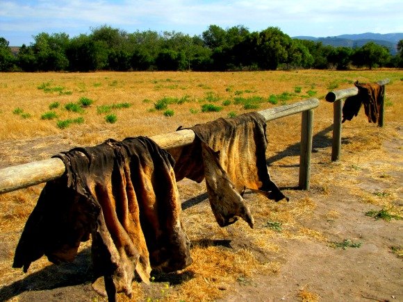 Hide Racks, La Purisima Mission, Lompoc, California